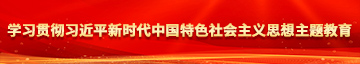 欧美网站射精学习贯彻习近平新时代中国特色社会主义思想主题教育