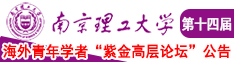 鸡巴日b南京理工大学第十四届海外青年学者紫金论坛诚邀海内外英才！